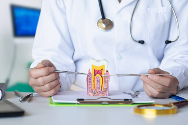 Best Emergency Treatment for Oral Infections in Isle Of Hope, GA
